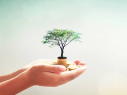 Oakbrook Terrace, IL estate planning lawyer